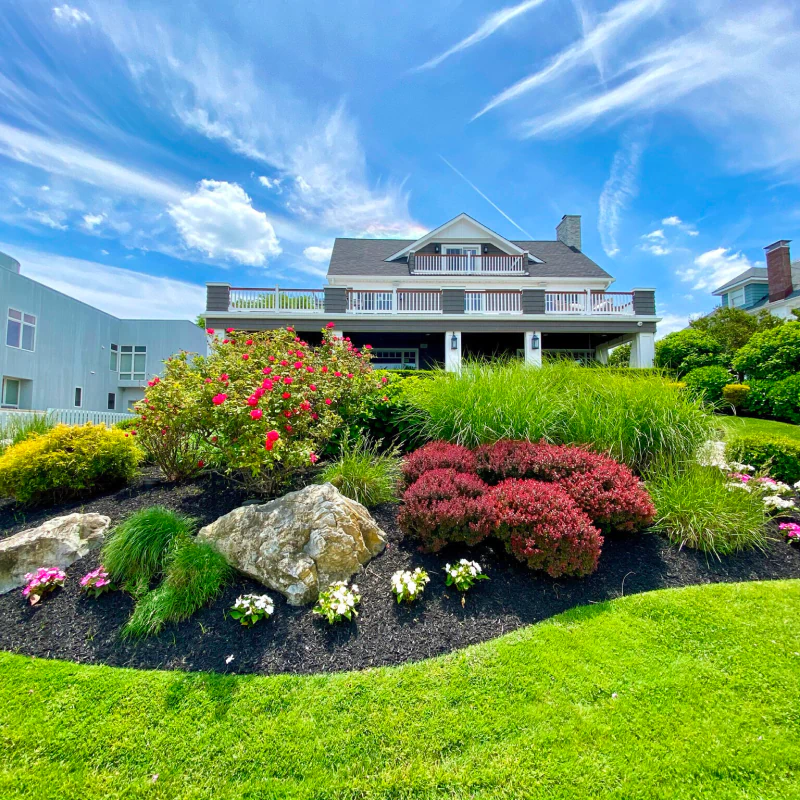 Landscape Design & Build