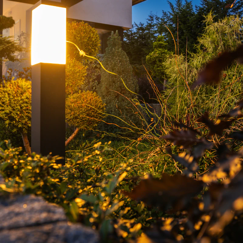 Landscape Lighting
