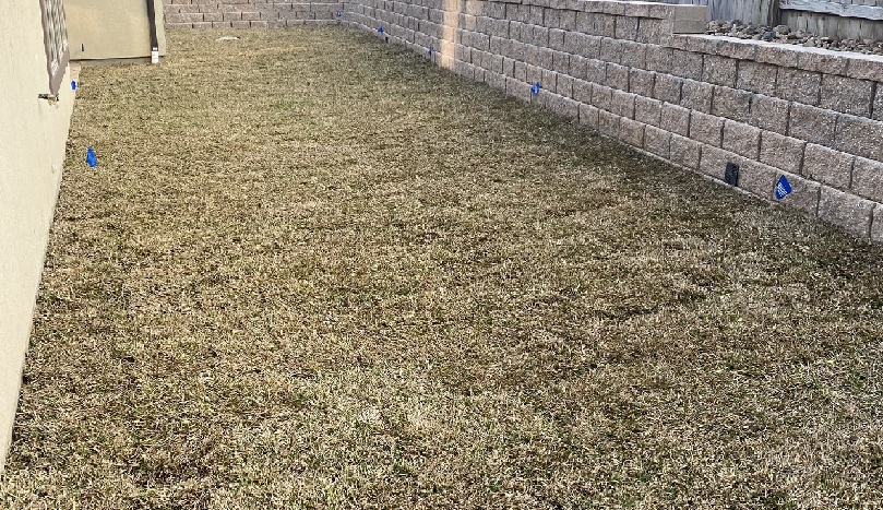 outdoor space