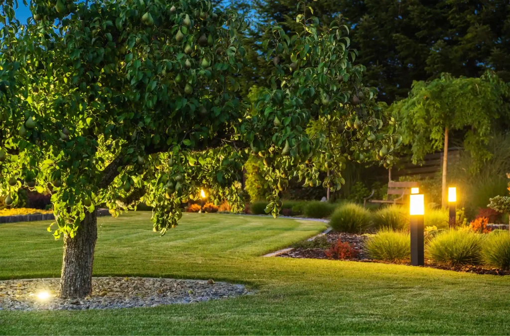 beautiful landscape garden with outdoor lights photo
