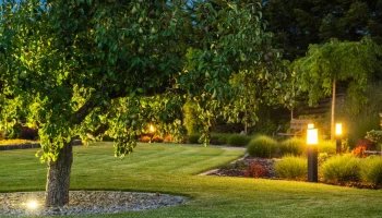 Landscape Lighting 2