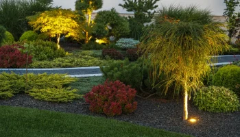 Landscape Lighting 4