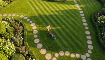 Lawn Maintenance 3