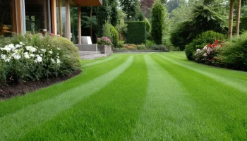 Lawn Maintenance 7